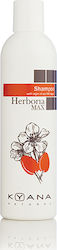 Kyana Herboria Argan Oil C100 For Treated Sensib 1000ml