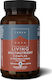 TerraNova Living Multinutrient Complex Multivitamin for Energy 900mg 50 veg. caps