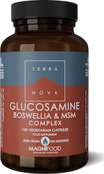 TerraNova Glucosamine Boswellia & MSM Complex TerraNova Glucosamine Boswellia & MSM Complex
