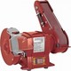 Raider Zweirädrig RDP-BG05 mit Leistung 250 Watt