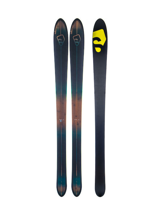 Fischer RC4 WC SC Curv Booster 165 Skis Bindless A06619 | Skroutz