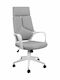 HomeMarkt Anivia Executive Office Chair With Grey Recline