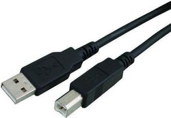 Powertech USB 2.0 Cable USB-A male - USB-B male 5m (CAB-U052)