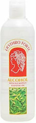 Erythro Forte Λοσιόν Οινοπνεύματος 240ml Erythro Forte Λοσιόν Οινοπνεύματος 240ml