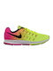 Air Zoom Pegasus 33 OC ULTD Sport Shoes Running Multicolour