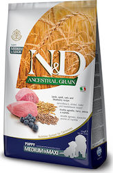 Farmina Lamp & Blueberry Puppy Medium & Maxi 2.5kg Farmina Lamp & Blueberry Puppy Medium & Maxi 2.5kg