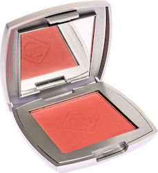 TommyG Blush On Satin N. 513