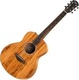 Taylor Ηλεκτροακουστική Κιθάρα GS MINI-e KOA Natural