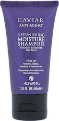 Alterna Caviar Replenishing Moisture Shampoo 40ml