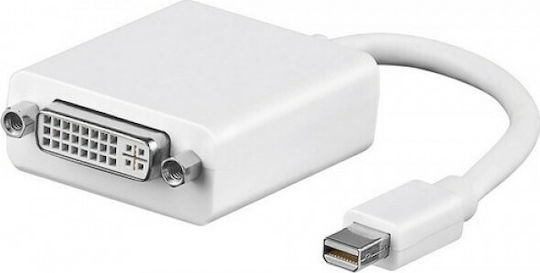 Anga Converter mini DisplayPort male to DVI-D female White 1pcs 371-053
