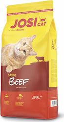 Josera Josicat Tasty Beef Ξηρά Τροφή για Ενήλικες Γάτες με Βοδινό 10kg