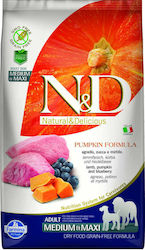 Farmina N&D Pumpkin Medium & Maxi 2.5kg Dry Food Grain-Free for Adult Medium & Large Breed Dogs with Lamb and Pumpkin