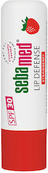 Sebamed Defense SPF30 Balsam de Buze cu Căpșuni 4.8gr Sebamed Defense SPF30 Balsam de Buze cu Căpșuni 4.8gr