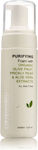 Seventeen Purifying Foam 150ml