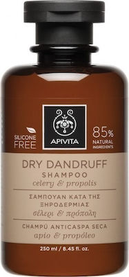 Apivita Dandruff Shampoos Against Dandruff for Dry Hair 250ml