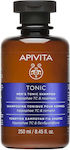 Apivita Men's Tonic Hippophae TC & Rosemary Σαμπουάν κατά της Τριχόπτωσης για Όλους τους Τύπους Μαλλιών 250ml