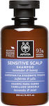 Apivita Sensitive Scalp Lavender & Honey Σαμπουάν Γενικής Χρήσης για Εύθραυστα Μαλλιά 250ml