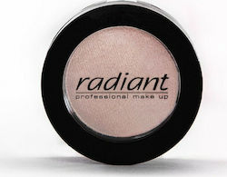 Radiant Професионален Цвят Basic 220 4гр Radiant Професионален Цвят Basic 220 4гр