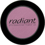 Radiant Professional Color Velvety Eye Shadow Pressed Powder 254 4gr