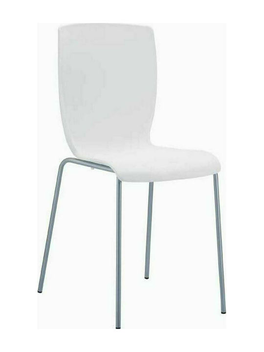 Mio Stühle Speisesaal Weiß 6Stück 47x50x80cm 20.2672