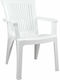 Scaun De Exterior Din Plastic Clio Alb 60x67x89 Cm