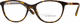 Burberry Plastic Eyeglass Frame Brown Tortoise