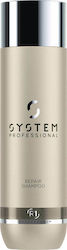 System Professional Fibra Repair R1 Aufbauendes...
