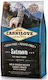 Carnilove Salmon Adult 12kg Dry Food Grain-Free for Adult Dogs with Salmon