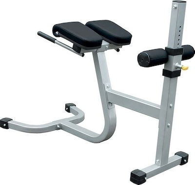 Amila Roman Chair IFRC Adjustable Dorsal Workout Bench