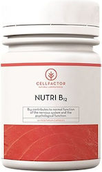 Metapharm Cellfactor Nutri B12 Βιταμίνη 50 φυτικές κάψουλες Metapharm Cellfactor Nutri B12 Βιταμίνη 50 φυτικές κάψουλες