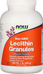 Now Foods Lecithin Granules Συμπλήρωμα Διατροφής με Λεκιθίνη 454gr