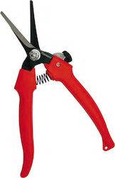 Benman Pruning Shears Grape