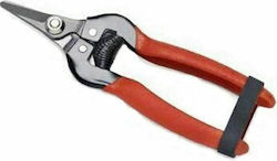 Ipierre Pruning Shears Grape