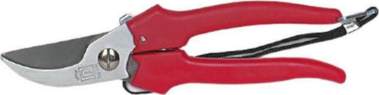 Paolucci Coltellerie 363 Baumschere Länge 19cm
