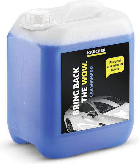 Karcher Liquid Cleaning for Body RM565 Car Cleaner 5lt