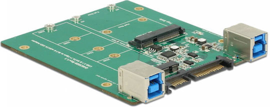 DeLock 62732 SATA/USB 3.1 Type-B Female to M.2/mSATA Black Hard Drive Accessories Converter