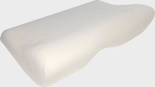Anatomic Help Aloe Vera Kopfkissen Schlaf Memory-Schaum Anatomisch 36x52x12cm Anatomic Help Aloe Vera Kopfkissen Schlaf Memory-Schaum Anatomisch 36x52x12cm