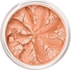 Lily Lolo Mineral Blush