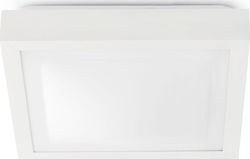 Faro Barcelona Tola-1 Ceiling Light Bathroom 27cm Faro Barcelona Tola-1 Ceiling Light Bathroom 27cm