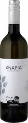 Κτήμα Ράπτη Χνάρια Λευκό Ξηρό Νεμέας 750ml