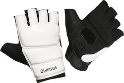 Olympus Sport WTF Hand Protectors 4000699 White