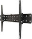 Stell Accessories SHO 3310 Wandhalterung für Fernseher bis 70" und 40kg