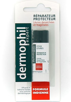 Inpa Dermophil Expert Lip Balsam 3.5gr