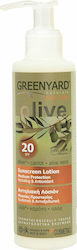 Greenyard Sonnencreme Lotion mit Olive & Karotte & Aloe Vera SPF20 200ml
