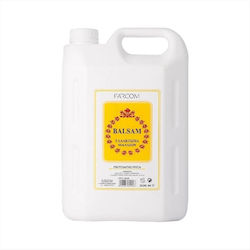 Farcom Haarspülung 3500ml Farcom Haarspülung 3500ml