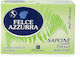 Felce Azzurra Fresco Soap 100gr