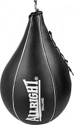 Allright Speedball Speed Punching Bag