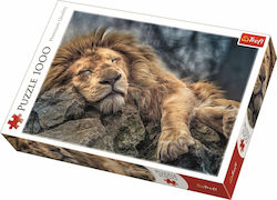 Sleeping Lion Puzzle 2D 1000 Pieces