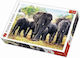 African Elephants Puzzle 2D 1000buc