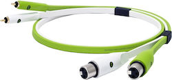 Oyaide d+ XFR class B XLR female to RCA male 1m Cable Green